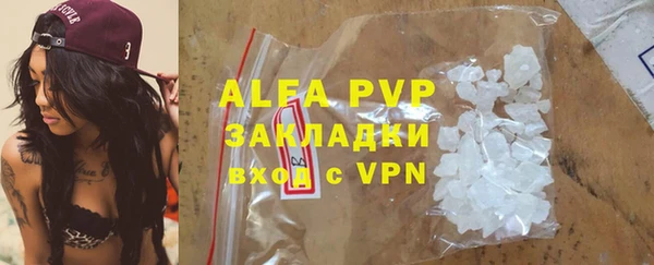 молекула духа Арсеньев