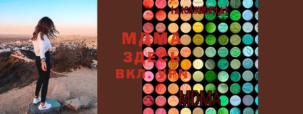молекула духа Арсеньев